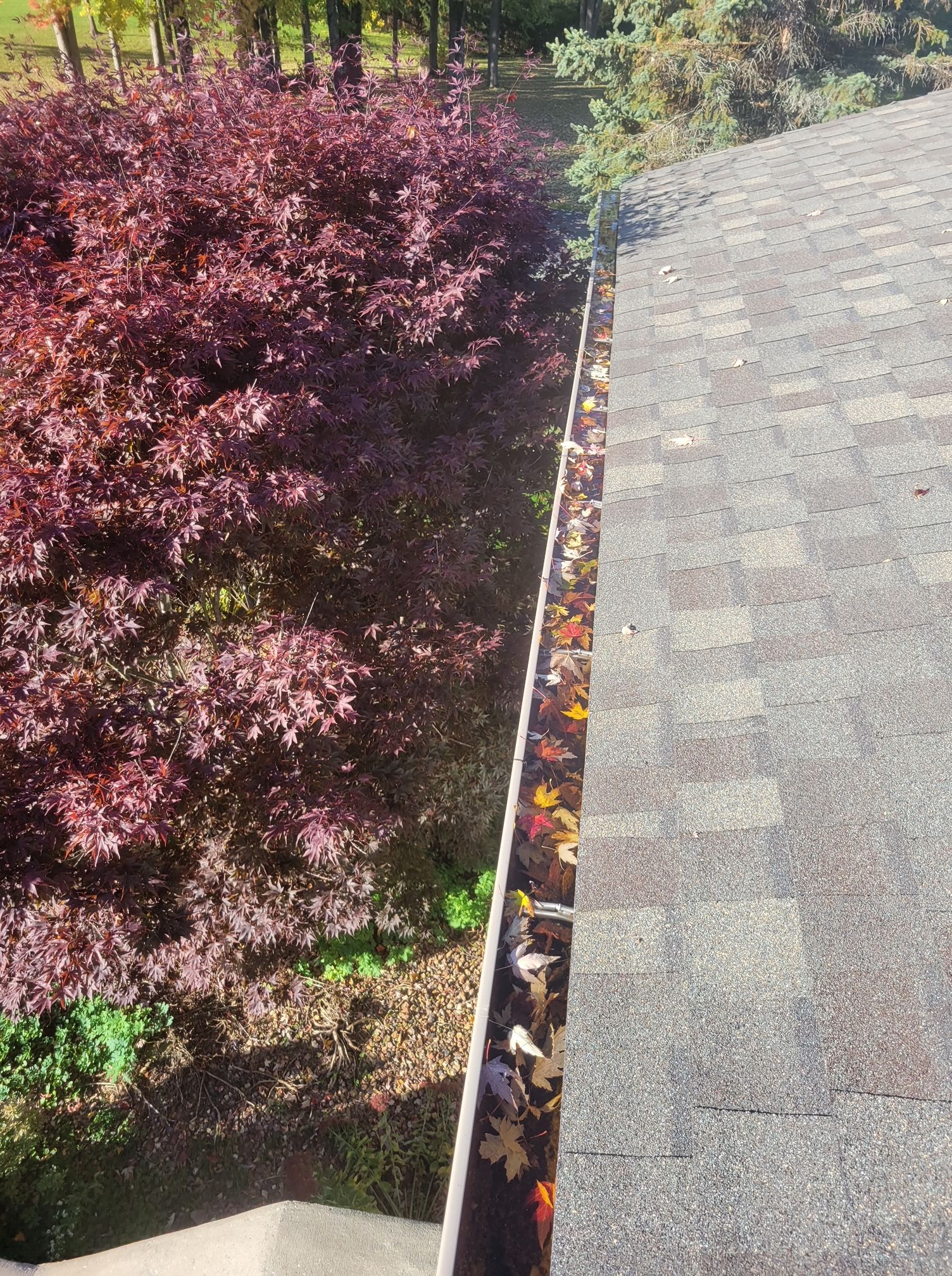 Gutter Full Of Leaves — Syracuse, NY — U.S. Vets Exterior Cleaning