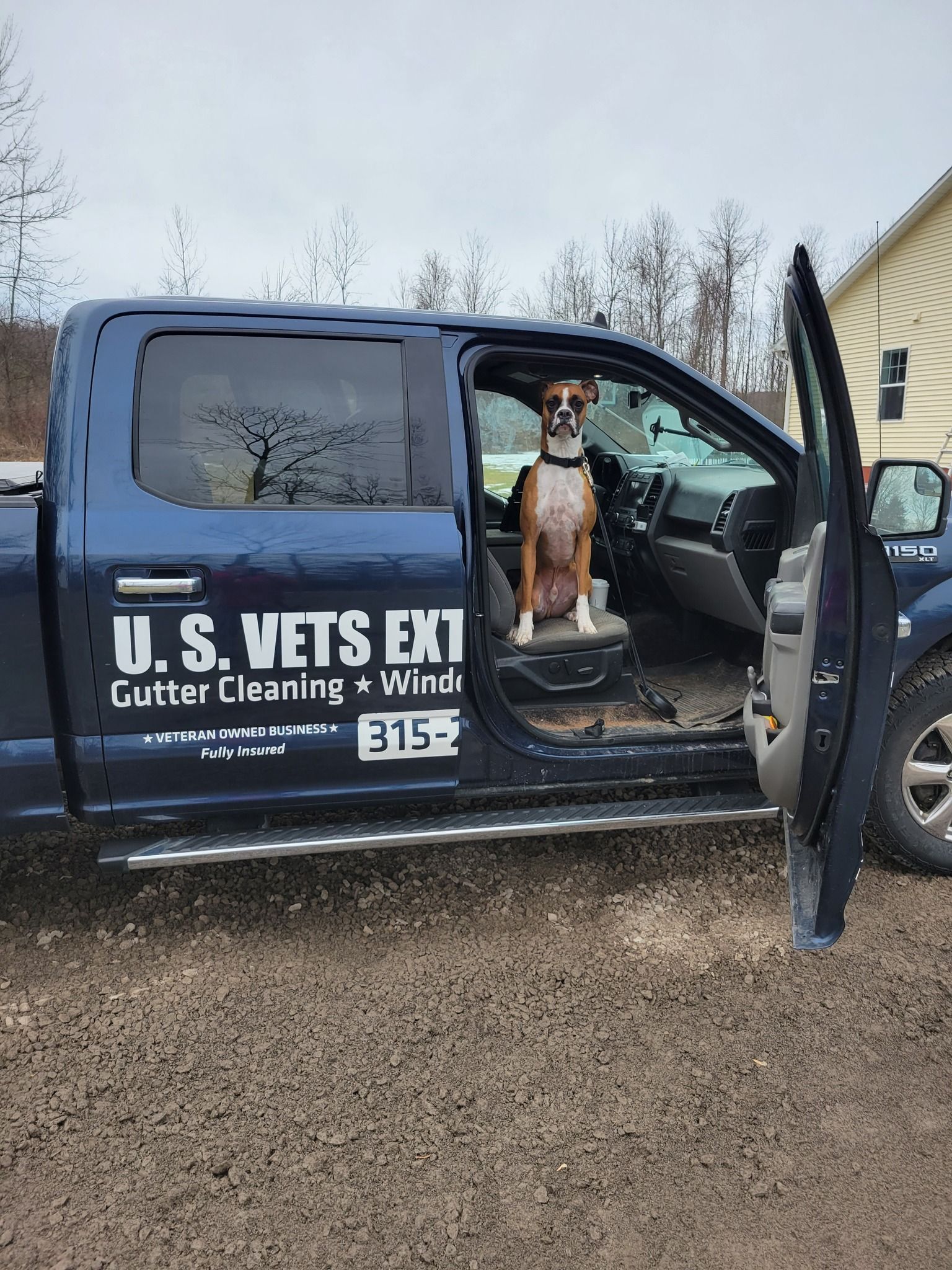 A Dog Is Sitting — Syracuse, NY — U.S. Vets Exterior Cleaning
