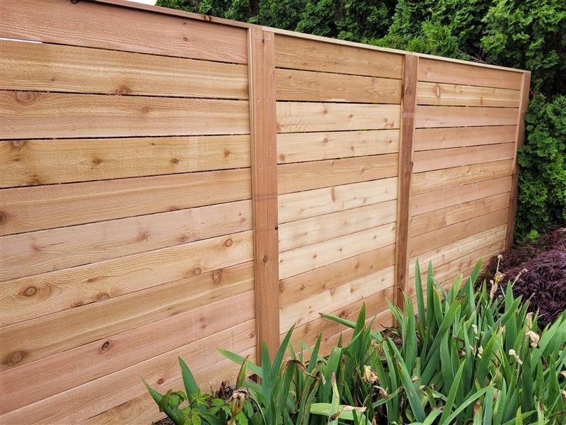 Wooden horizontal slat fence in a garden setting.