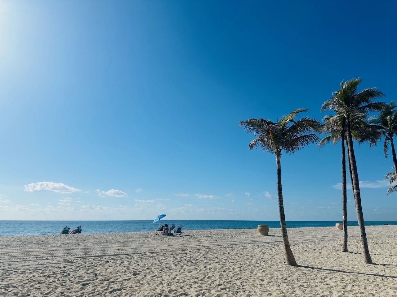 A beach with palm trees and umbrellas on a sunny day.