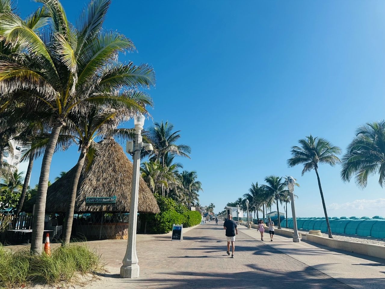 A man is walking down a sidewalk surrounded by palm trees.