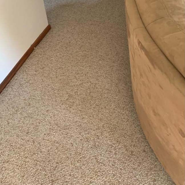 Carpet Stain Removal - After