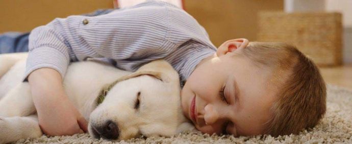 A young boy is laying on the floor with a puppy.