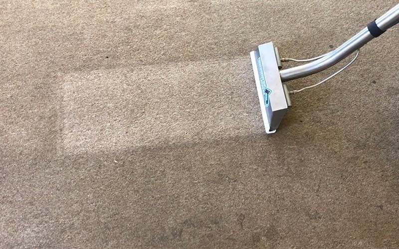 Professional carpet cleaning services in Bendigo