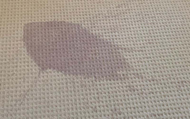 Carpet Stain and Odour Removal service in Bendigo