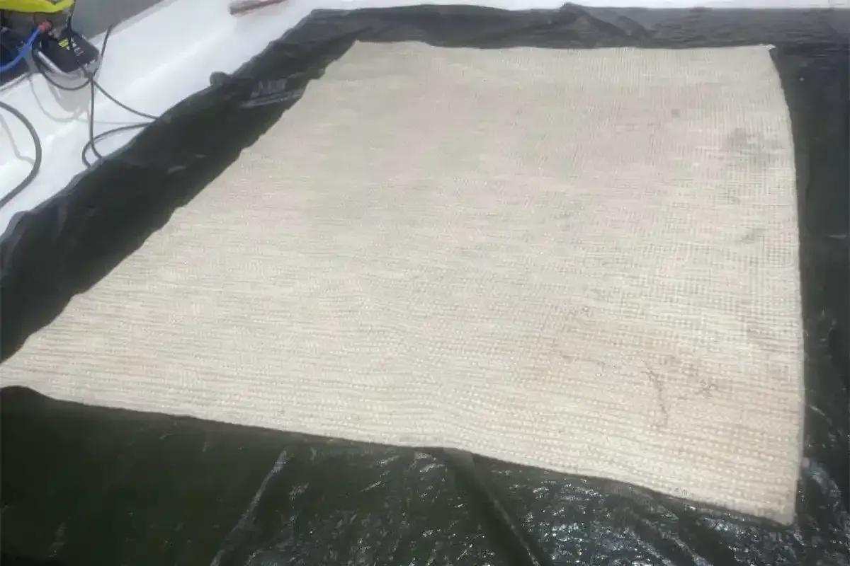 A white rug before being professionally dyed by Advanced Floor care, Bendigo.
