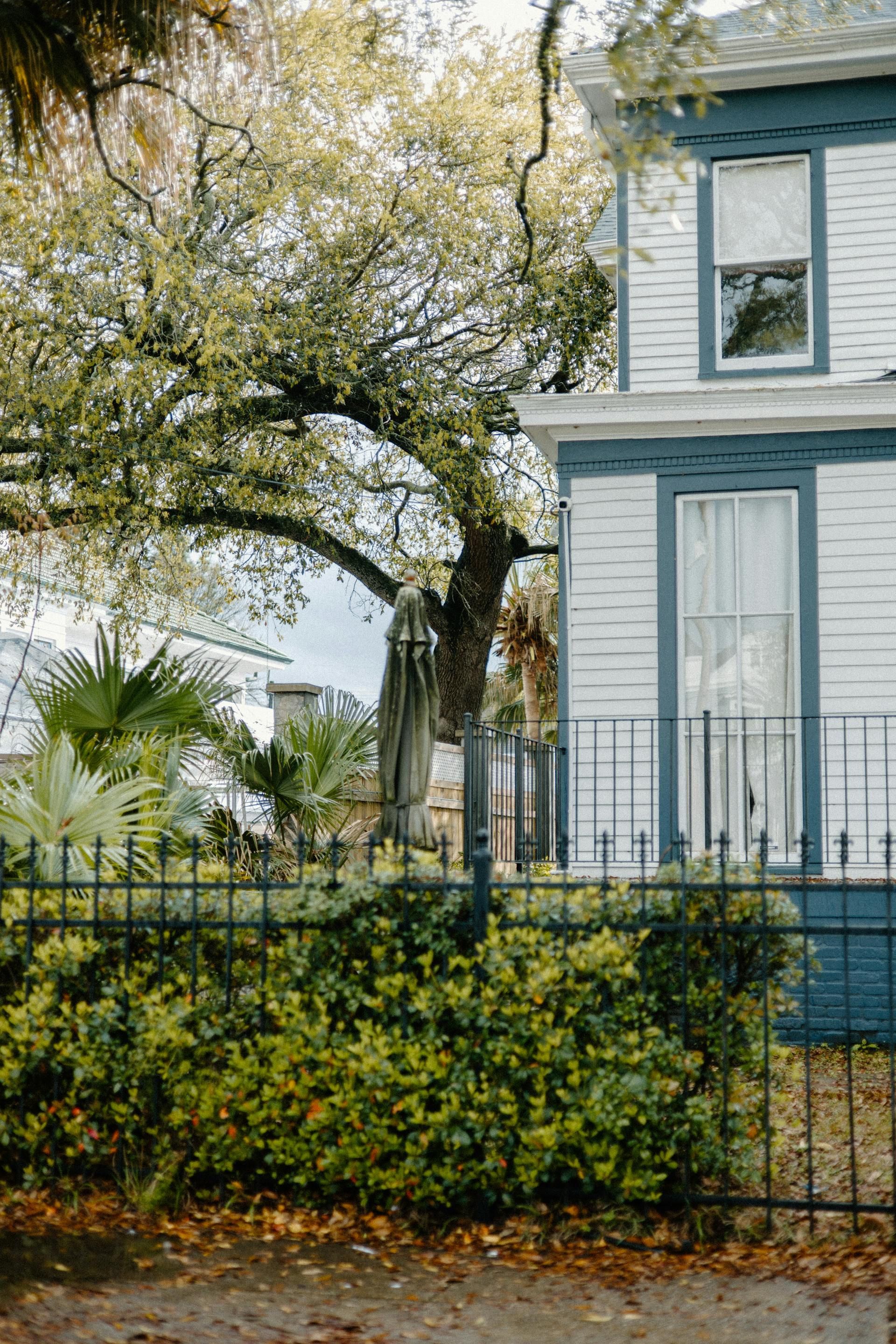 A white house with a black fence and a tree in front of it.