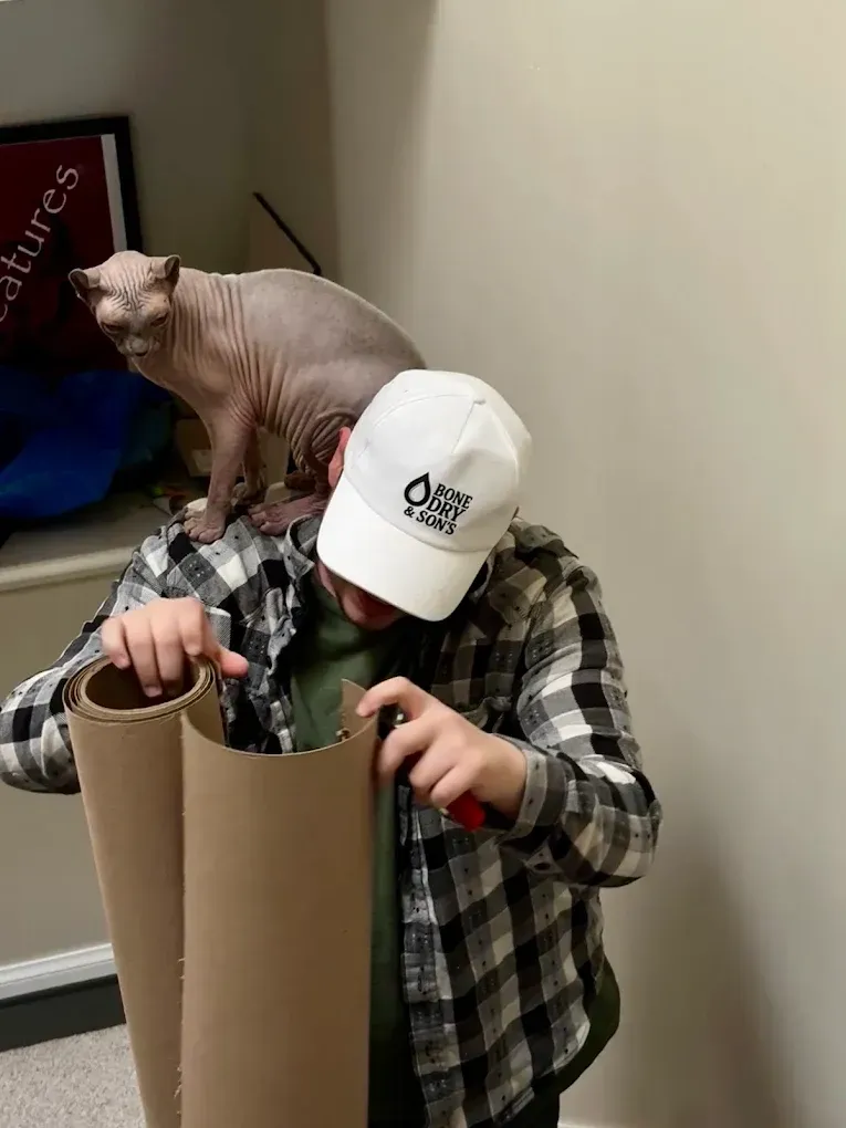 Man cutting cardboard with a Sphynx cat on his shoulder. Indoors, gray walls, light colors.