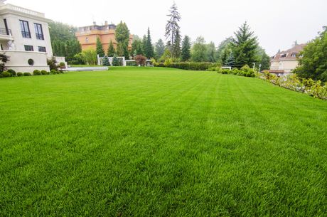 a huge green lawn