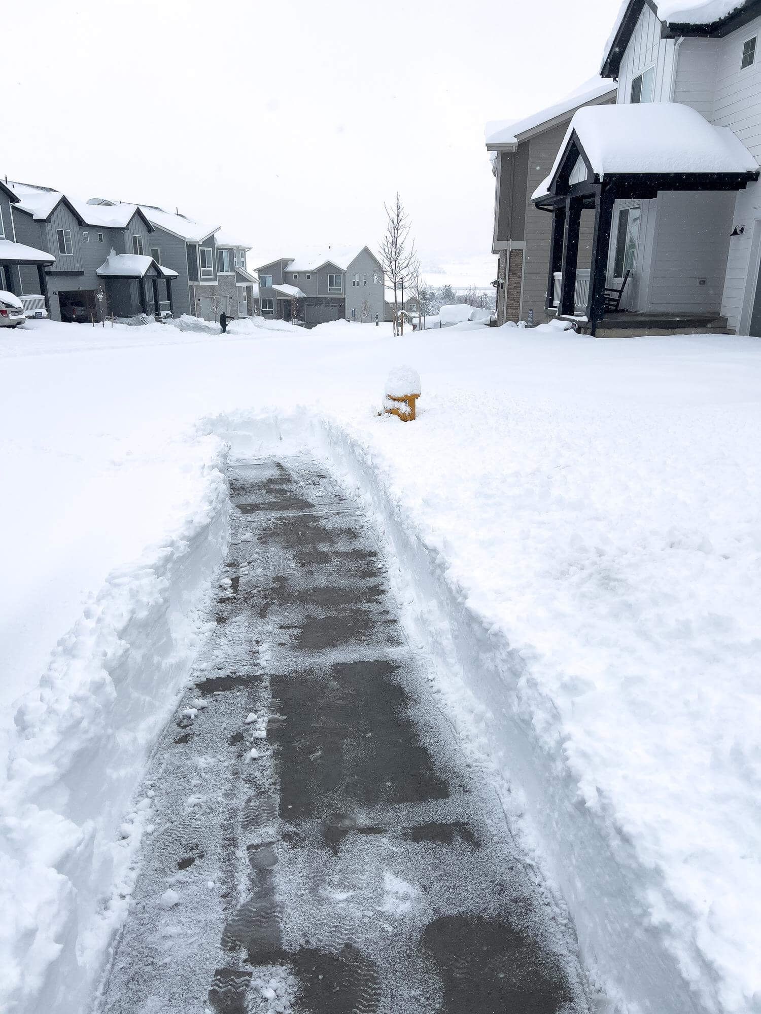 Cleared pathway amidst snow