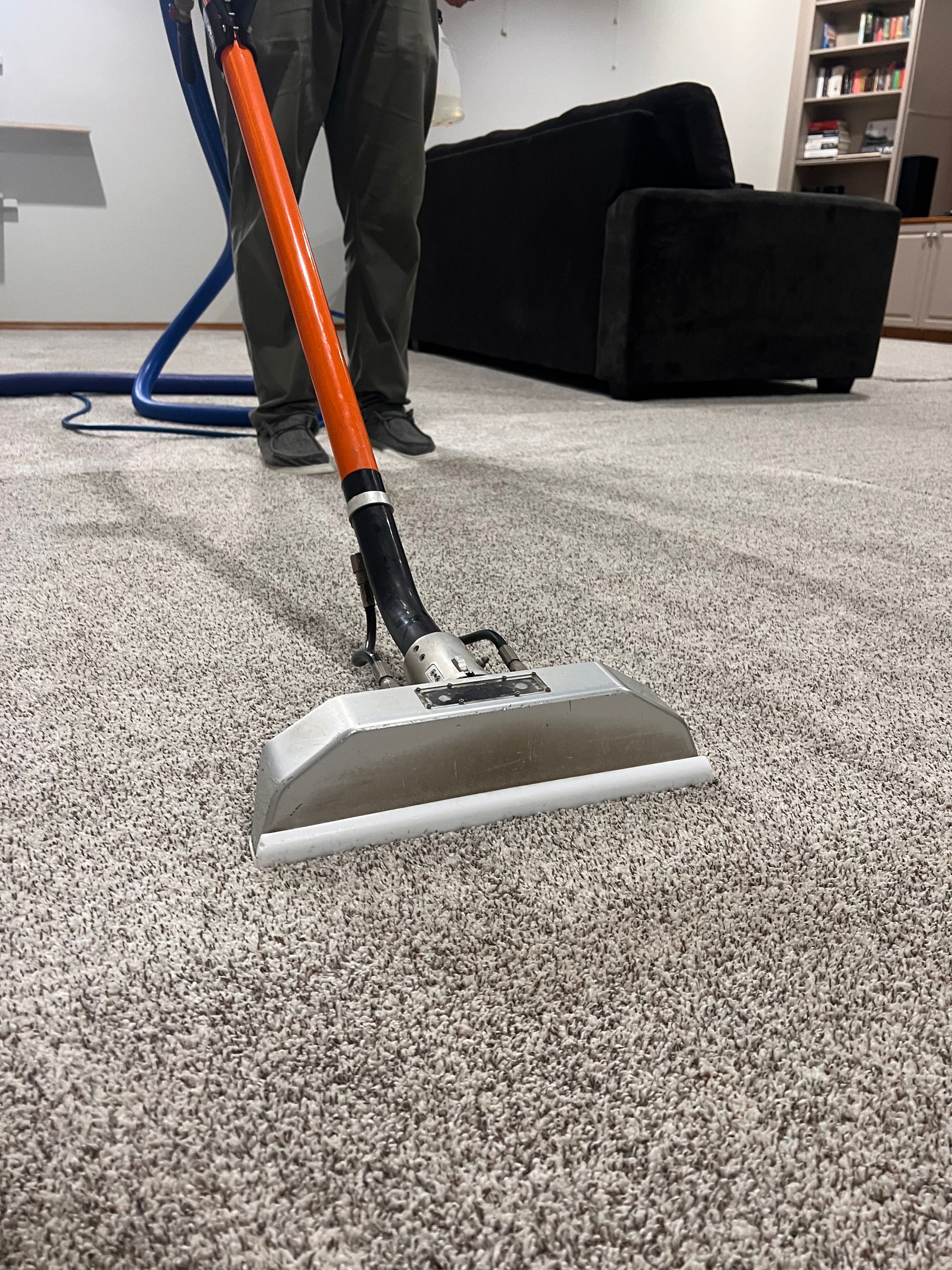 Carpet Cleaning