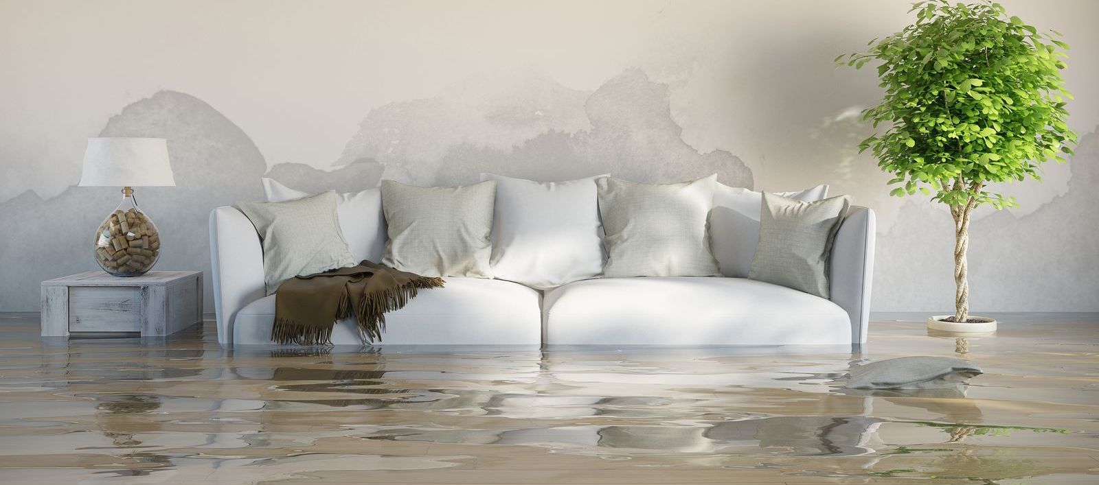 Water Damage Restoration