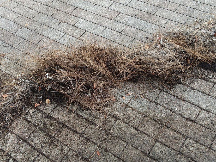 a large pile of roots is laying on a brick sidewalk .