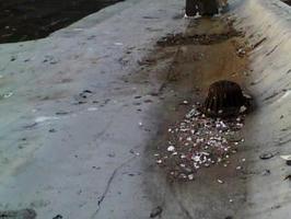 moisture detection in home