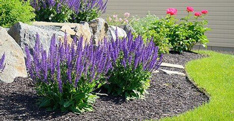 Backyard Garden - Landscape Material in West Chester, PA Backyard Garden - Landscape Material in West Chester, PA