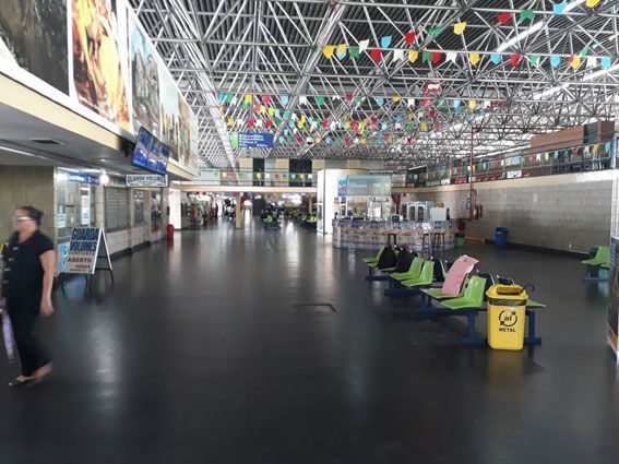 Táxis brancos enfileirados sob a cobertura de um prédio; plantas verdes e um céu azul se destacam.