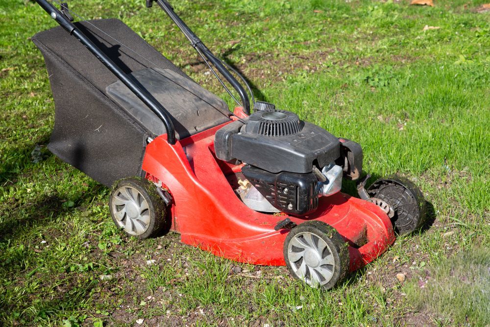 Red Lawn Mower on Green Grass, With a Black Grass Bag Attached — Integral Cleaning Services in Aberdare, NSW