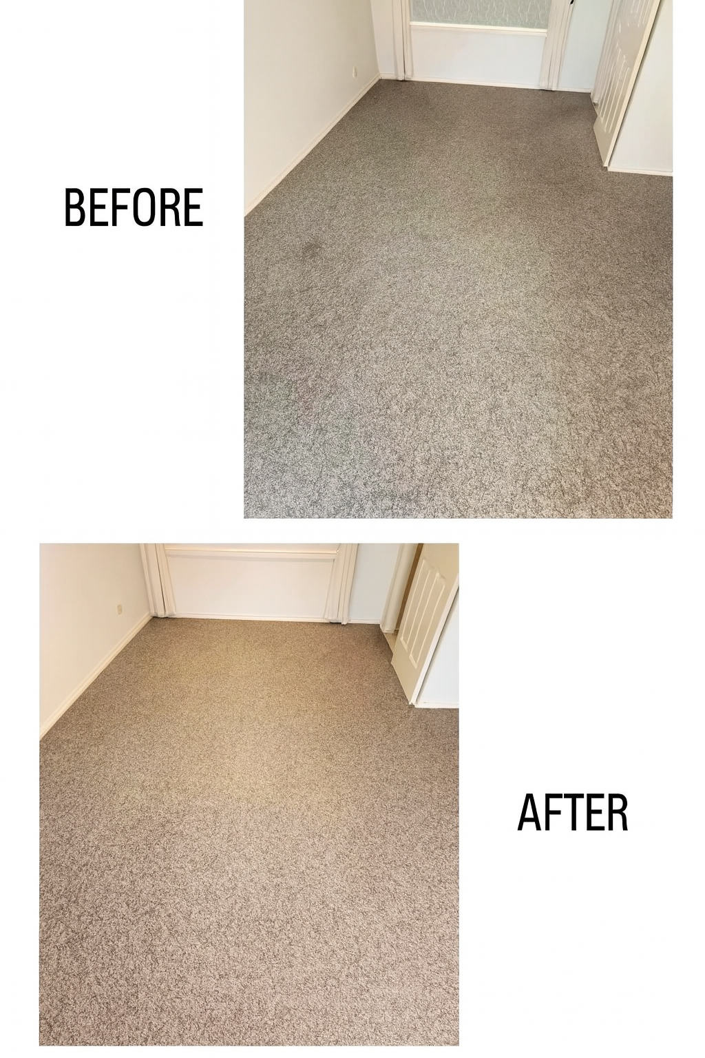 Vacuum Cleaner Cleaning a Beige Carpet, Leaving a Clean White Path — Integral Cleaning Services in Aberdare, NSW