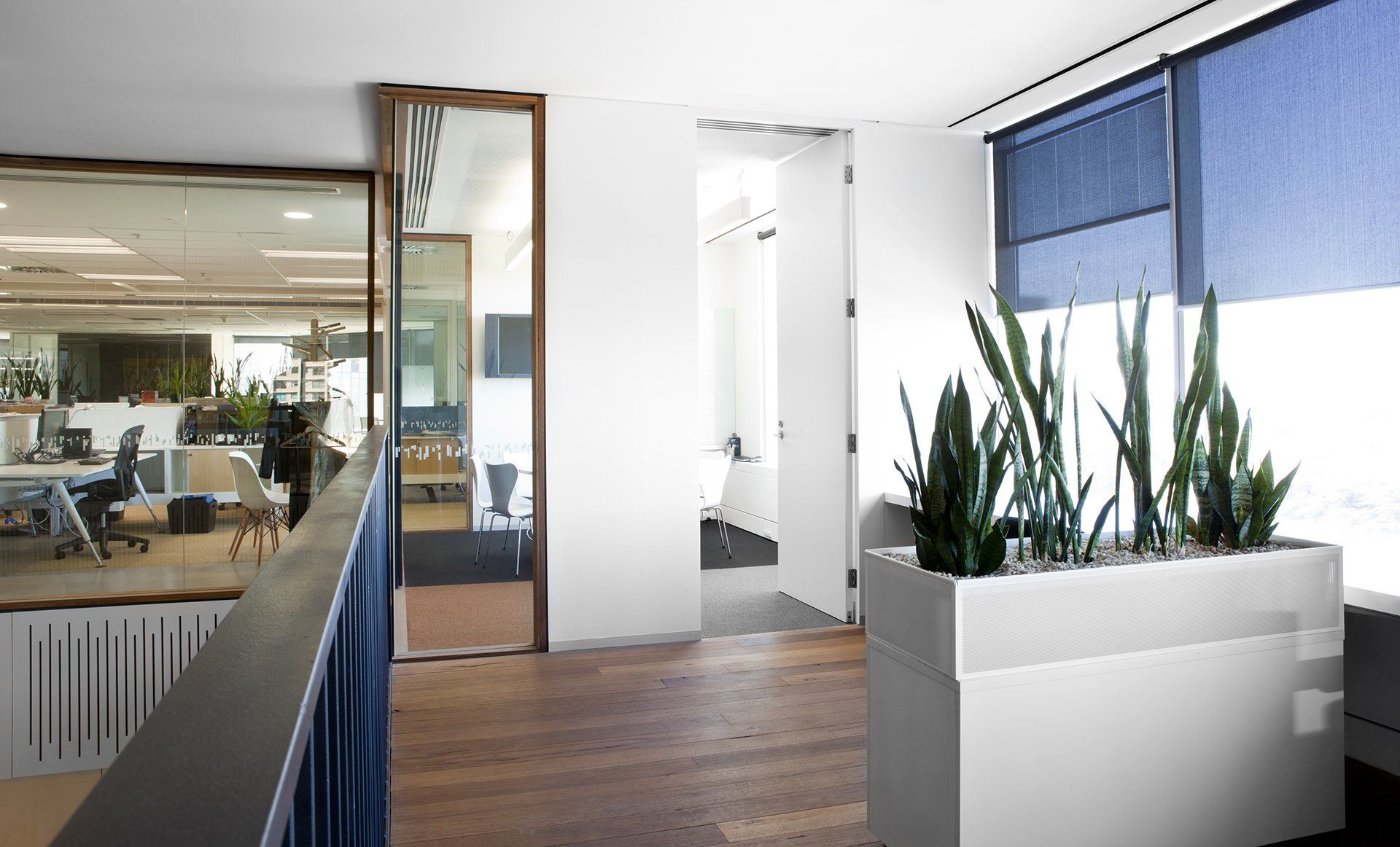 Modern, sophisticated & brightly lit office space in a eco-friendly office building