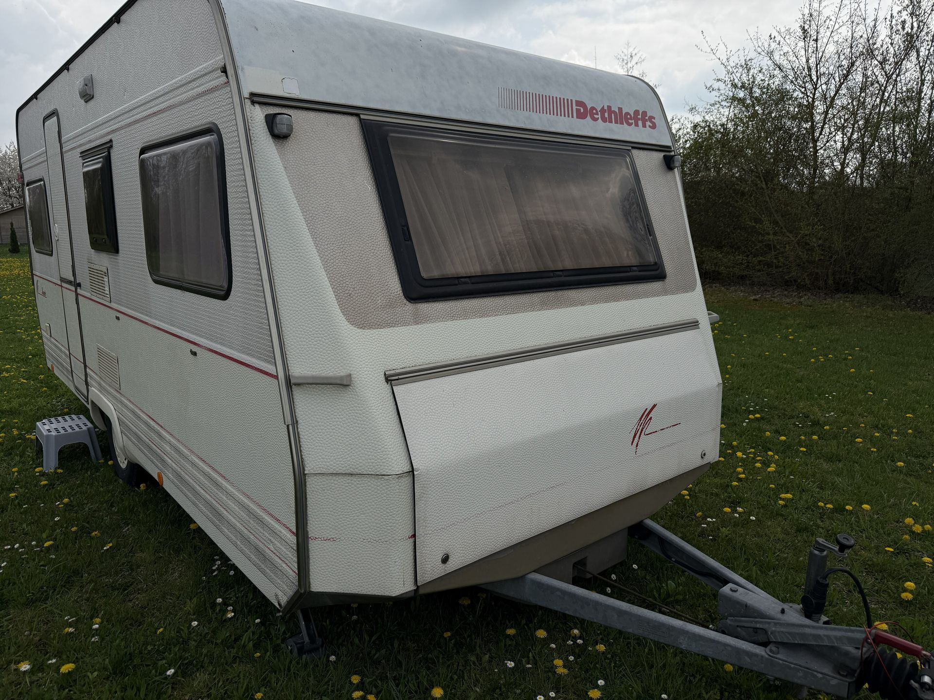 Ein weißer Dethleffs-Wohnwagen parkte auf einer grasbewachsenen Wiese unter bewölktem Himmel.