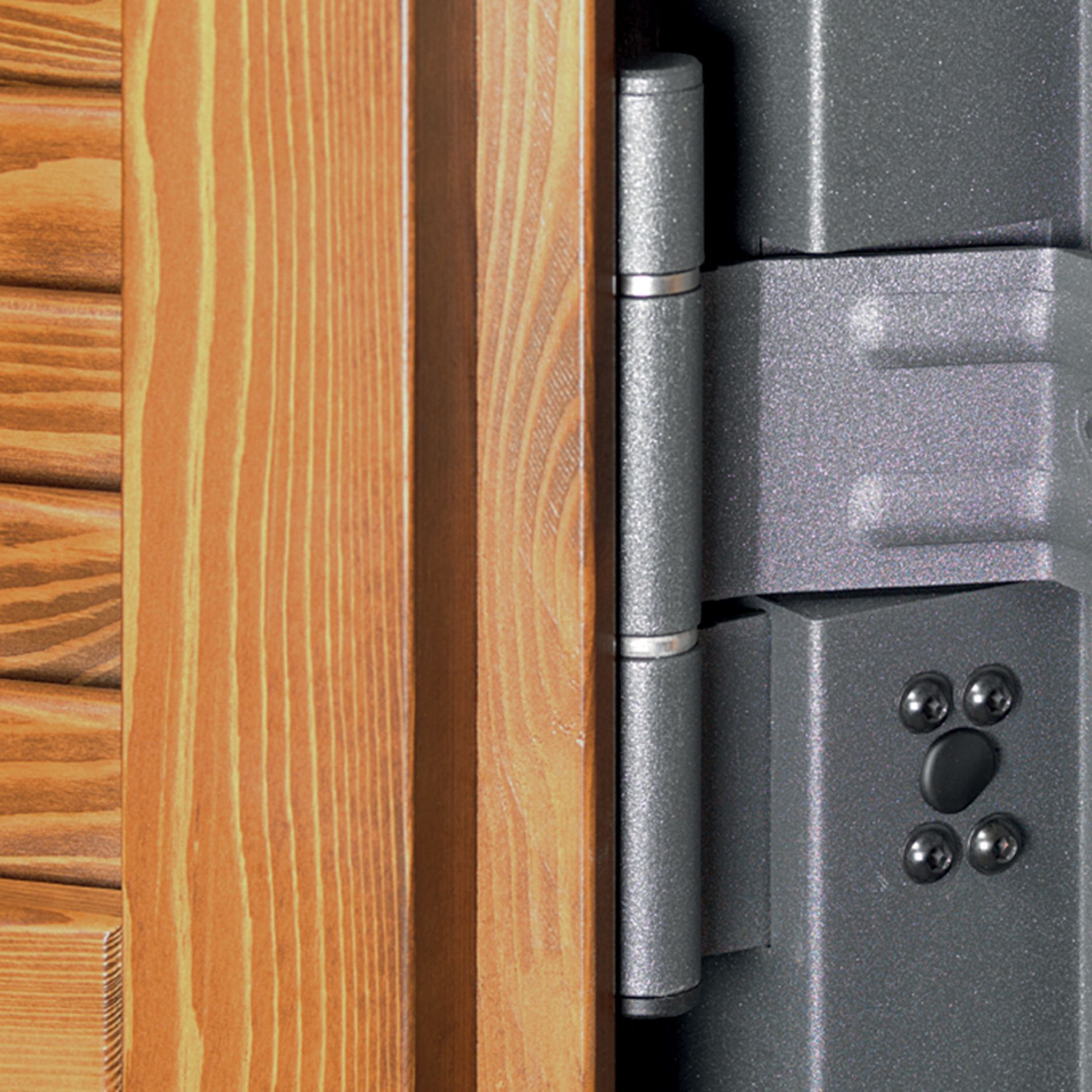 cardini di porte blindate