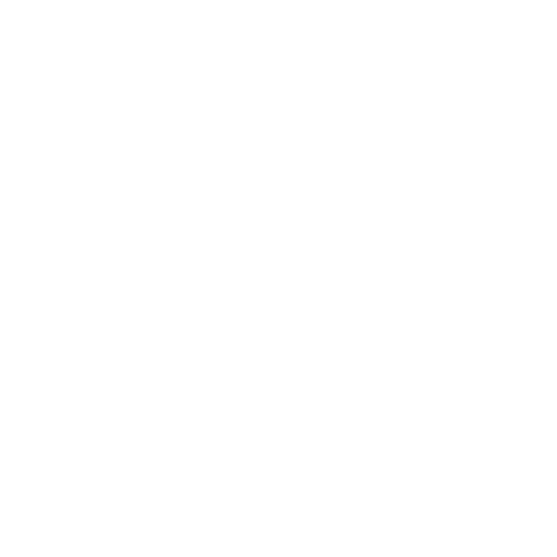 jacksonville florida movers
