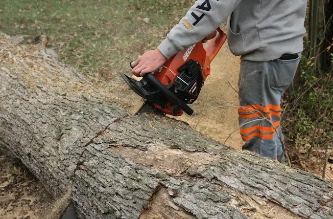 Person cutting a fallen tree trunk with a chainsaw outdoors