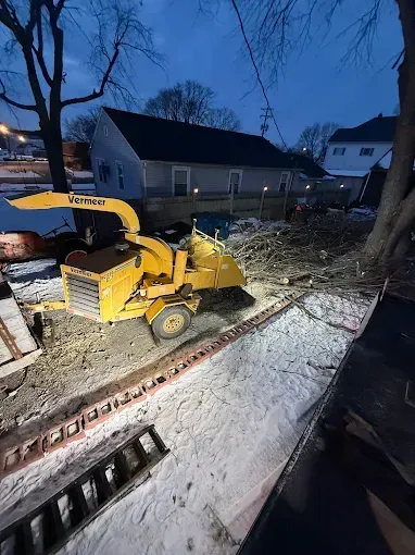 Yellow skid-steer clearing debris in a snowy yard at dusk, with a house and trees in the background