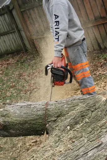 Worker in gray sweatshirt and orange-striped pants using a chainsaw on a large fallen tree outdoors.