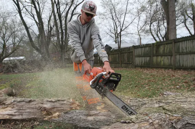 Person cutting a fallen tree with a chainsaw in a muddy yard, sawdust flying