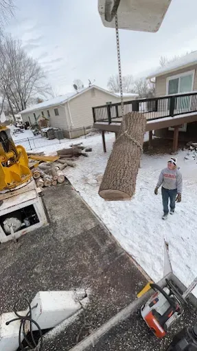 Tree trunk being lifted by a crane over a snowy residential driveway, with a person standing nearby.
