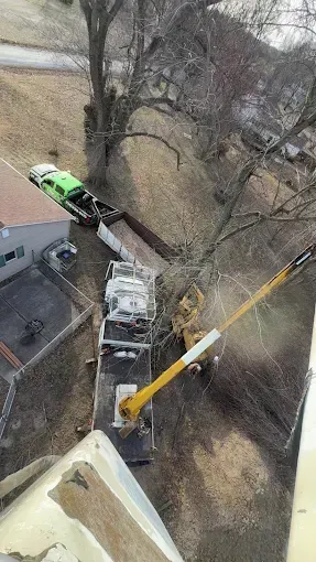 Aerial view of a white utility truck and green truck beside a tree in a muddy roadside area.