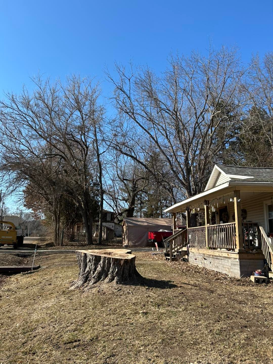 Backyard with tree stump, leafless trees, and a house porch under a clear blue sky