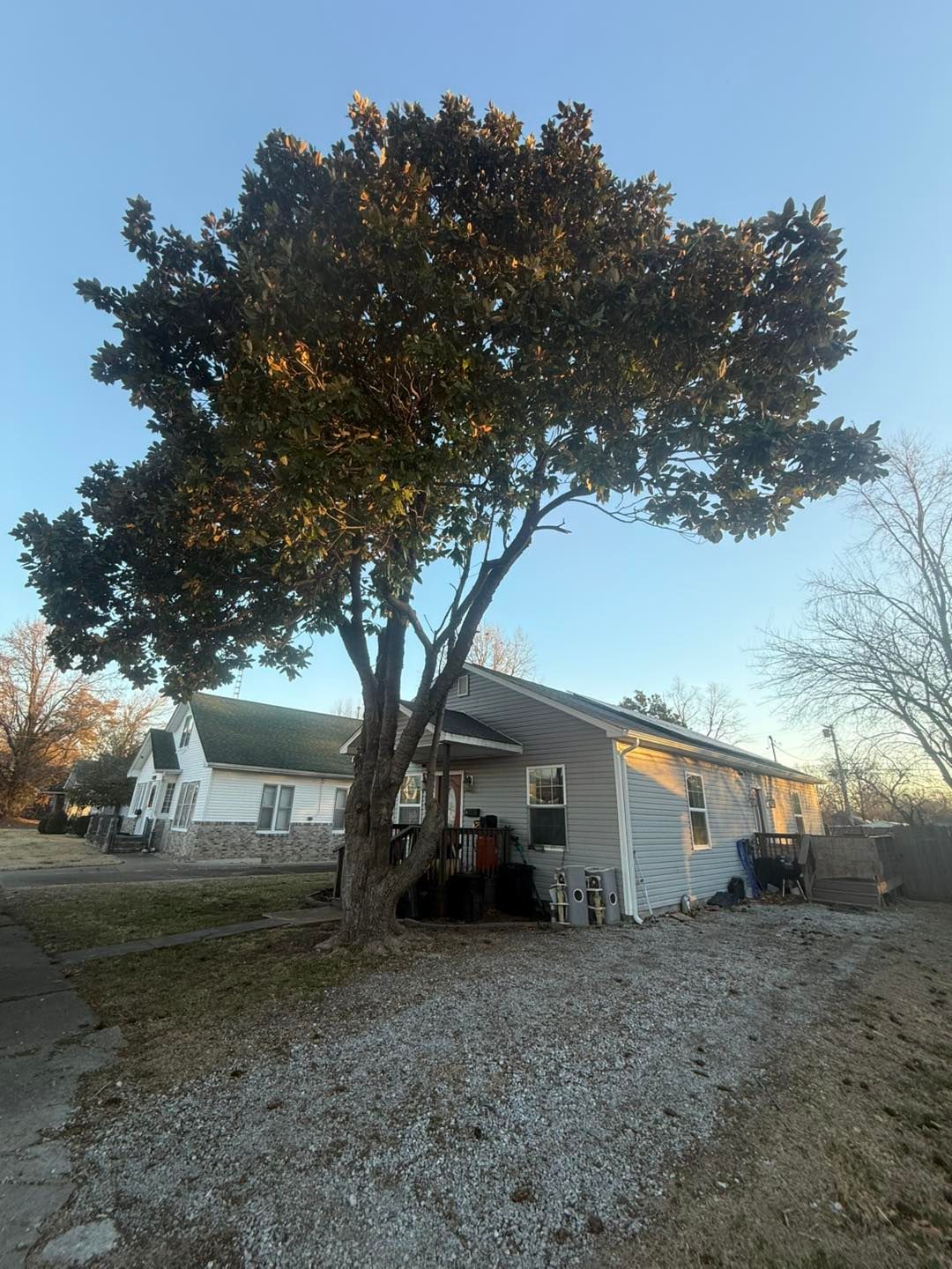 Large tree beside a white house with a gravel yard at sunset