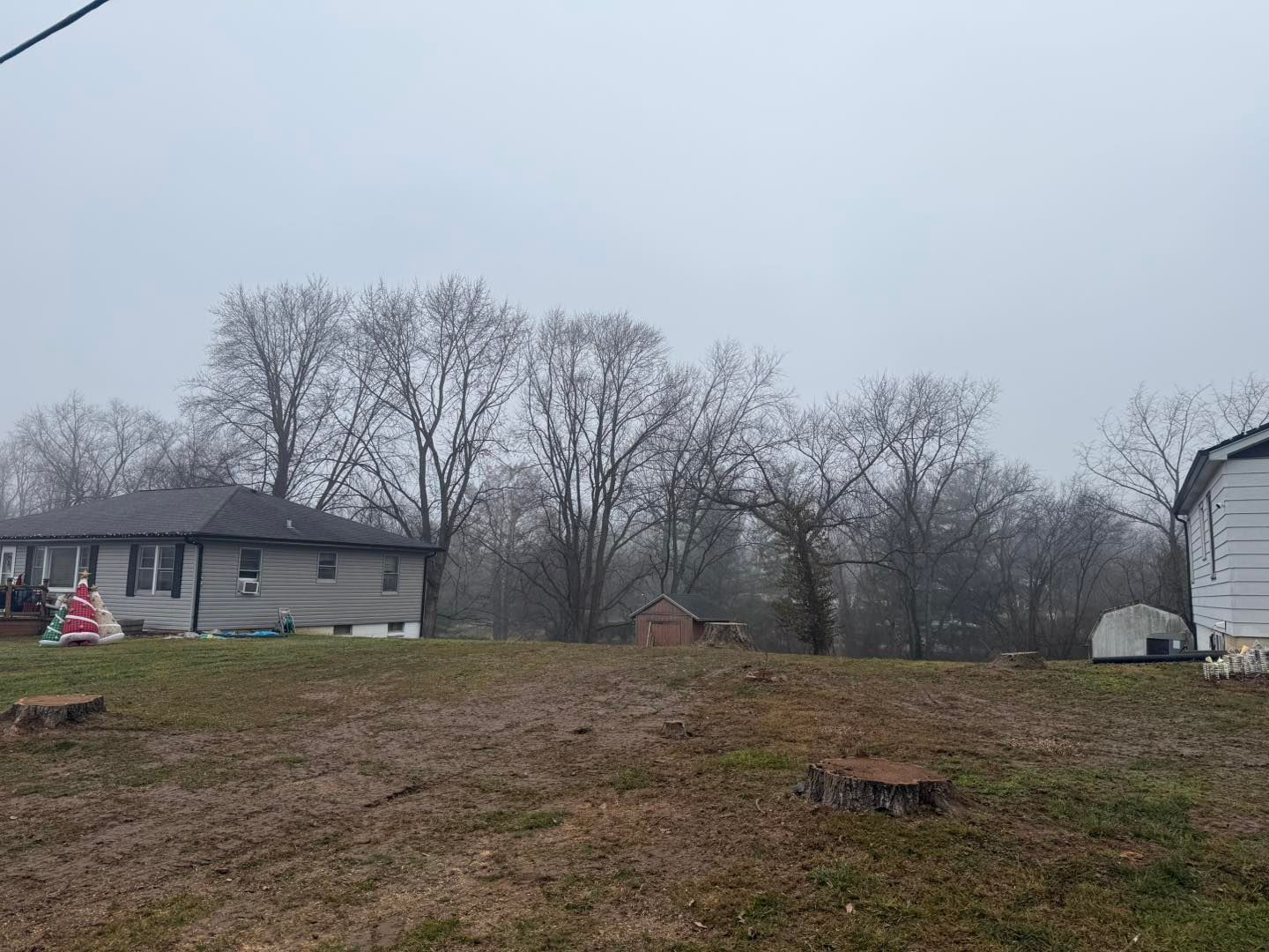 Leafy backyard with a house on the left, bare trees, and a small shed under an overcast sky