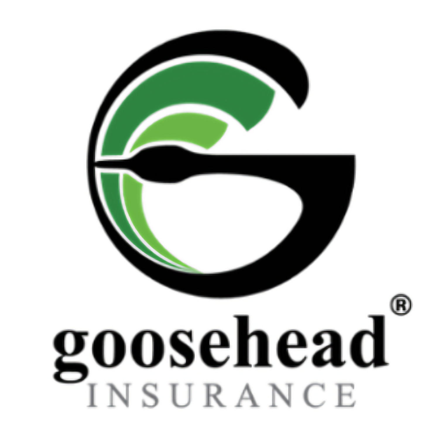 A logo for goosehead insurance with a green g