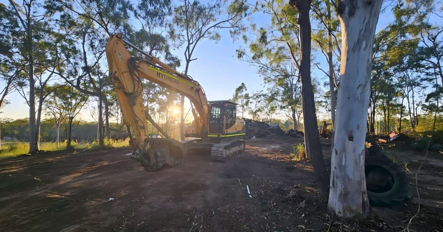 Excavator Clearing Land Near Trees, With Sun Shining Through the Machinery — NPX Solutions In Bundaberg, QLD