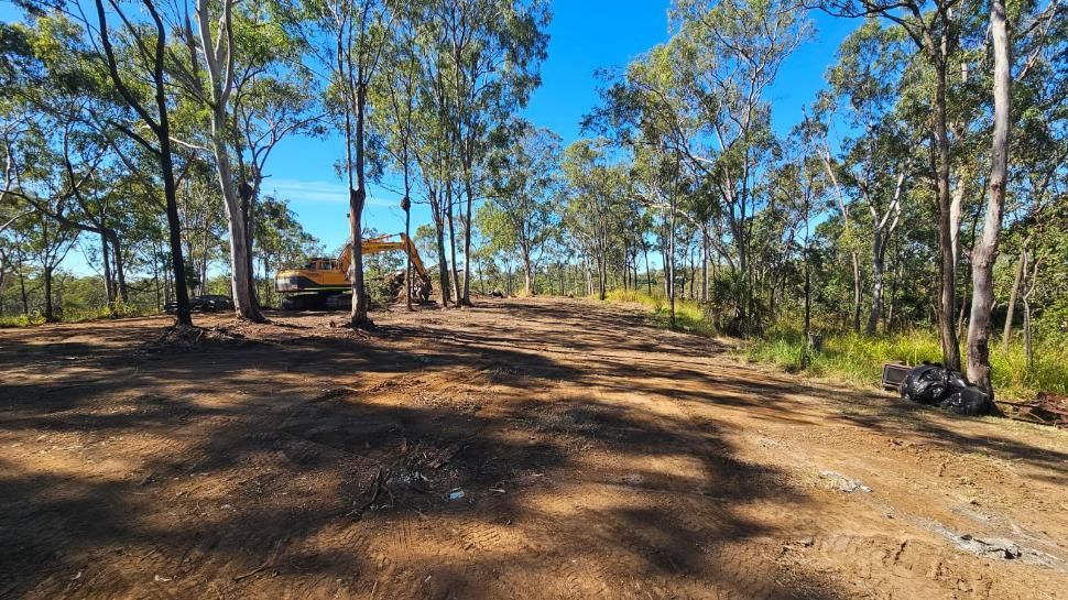 Clearing of Trees and Land by an Excavator in a Sunny Forest Setting — NPX Solutions In Rockhampton City, QLD