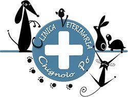 CLINICA VETERINARIA CHIGNOLO PO - LOGO