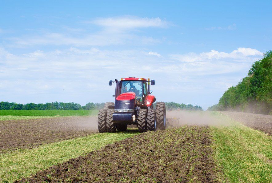Modern Red Tractor In The Agricultural Field — O'Brien's Machinery In Taree