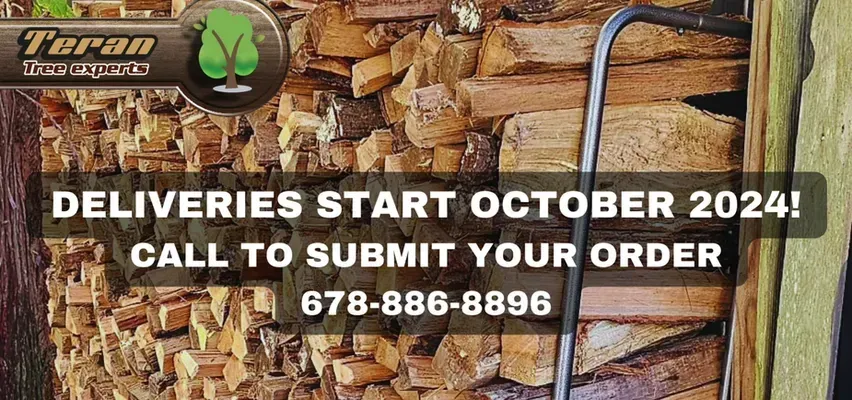 Delivery Information — Atlanta, GA — Teran Tree Experts