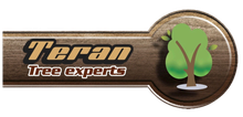 Teran Tree Experts	