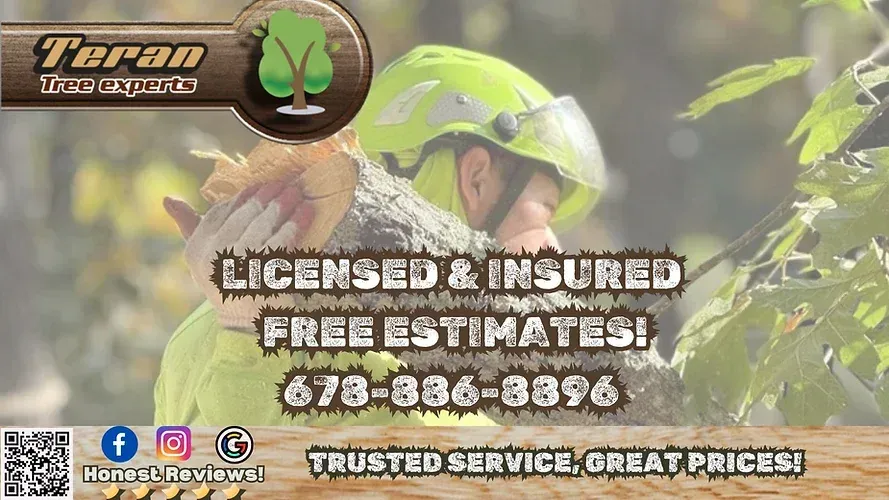 Advertisement — Atlanta, GA — Teran Tree Experts
