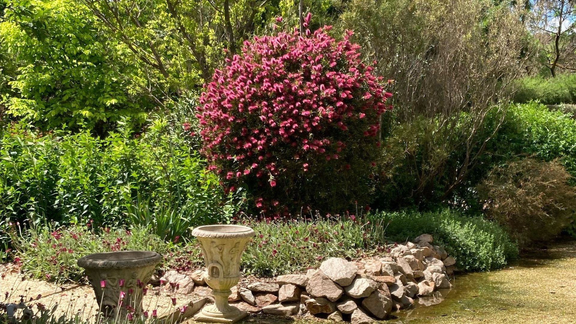 Landscape Maintenance Wangaratta, Landscapers, Landscaping