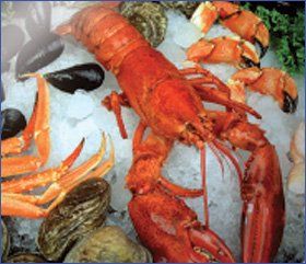 Fresh-seafood---Rochdale,-Greater-Manchester---AO-Seafood-Ltd---sea-food