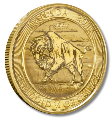A gold coin from canada with a buffalo on it