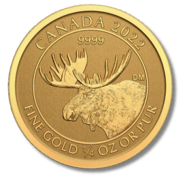 A gold coin from canada with a moose on it