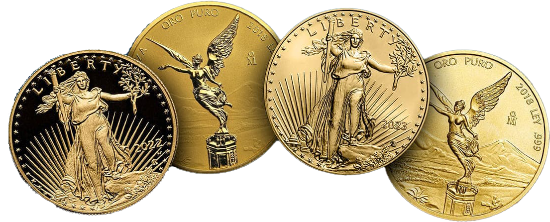 Four gold coins are lined up in a row on a white background.