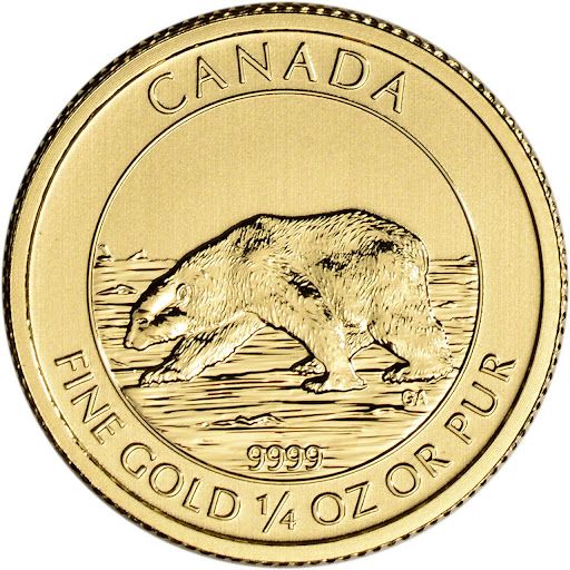 A gold coin from canada with a polar bear on it