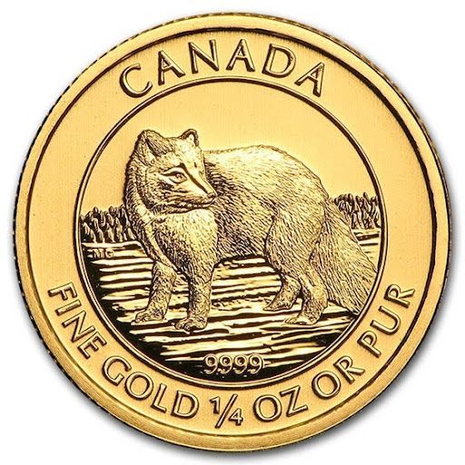 A gold coin from canada with a fox on it